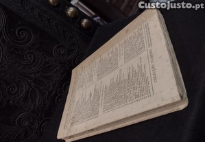 imagem_4