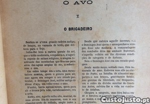 imagem_3