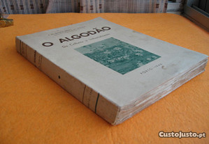 imagem_8