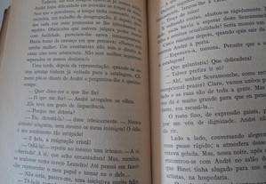 imagem_6