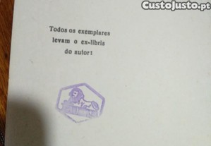 imagem_8