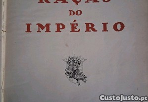 imagem_7