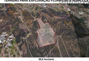 Terreno Para Exploração Florestal E Agrícola -...