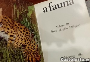 imagem_9