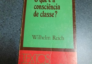 O Que É A Consciência de Classe? (portes grátis)