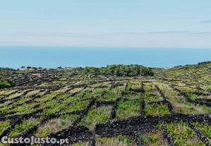 imagem_14