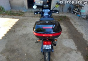 imagem_3