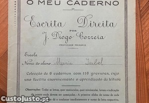 imagem_1