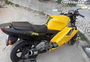 imagem_1