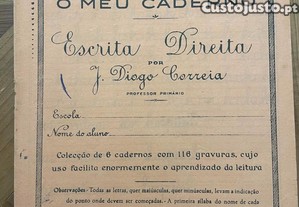 imagem_1