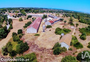 Quinta T3 em Almoster de 2364,00 m²