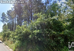 imagem_6