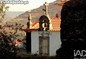 imagem_23
