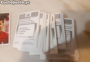 imagem_3