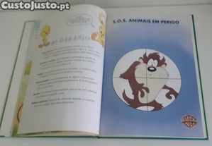 imagem_6