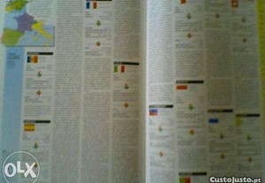 imagem_3