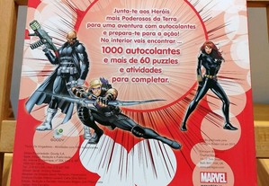imagem_2