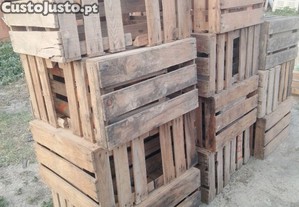 imagem_4