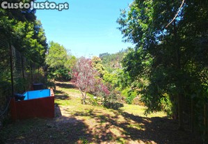 imagem_18