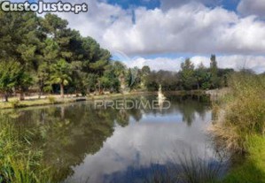imagem_36
