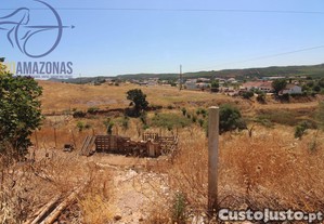 imagem_13