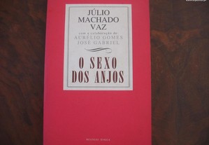 O sexo dos anjos - Júlio Machado Vaz