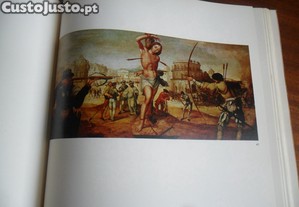 imagem_6