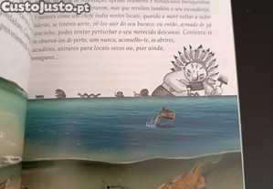 imagem_5