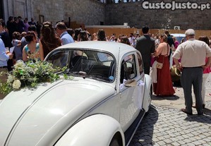 imagem_8