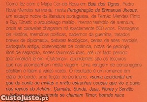 imagem_8