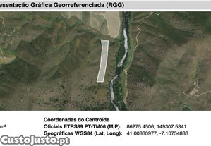 imagem_37