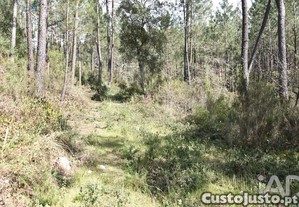 Terreno em Rio de Couros e Casal dos Bernardos de 7590,00 m²