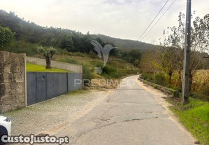 imagem_8