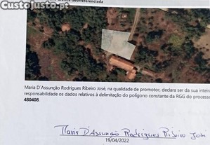 imagem_16