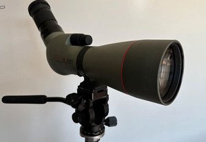 Kowa Luneta Telescópio TSN - 883 + TE - 11 WZ - Birdwatching