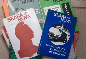 imagem_7