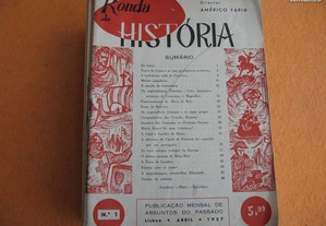 imagem_3