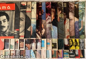 imagem_3