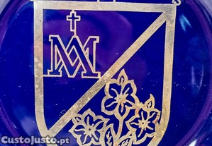 imagem_8