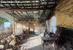 imagem_30