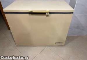 Arca congeladora 320L