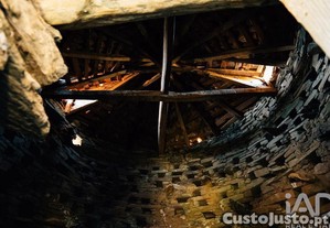 imagem_21