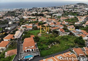 imagem_4