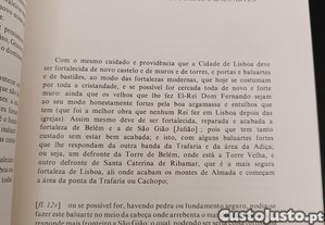 imagem_3