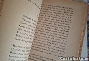 imagem_6