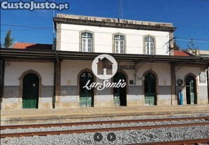 imagem_13