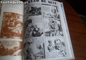 imagem_7