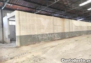 imagem_28