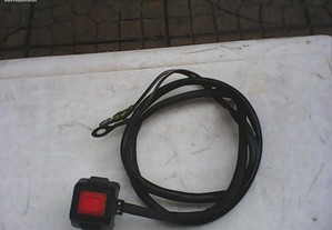 imagem_11