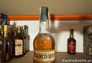 imagem_3